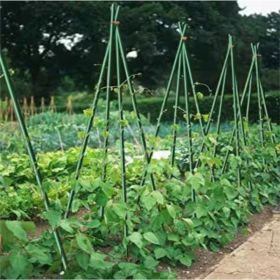 Fiberglass Round Rod,Dark Green,20 Pieces (Option: Dark Green)